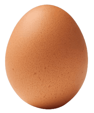 Egg